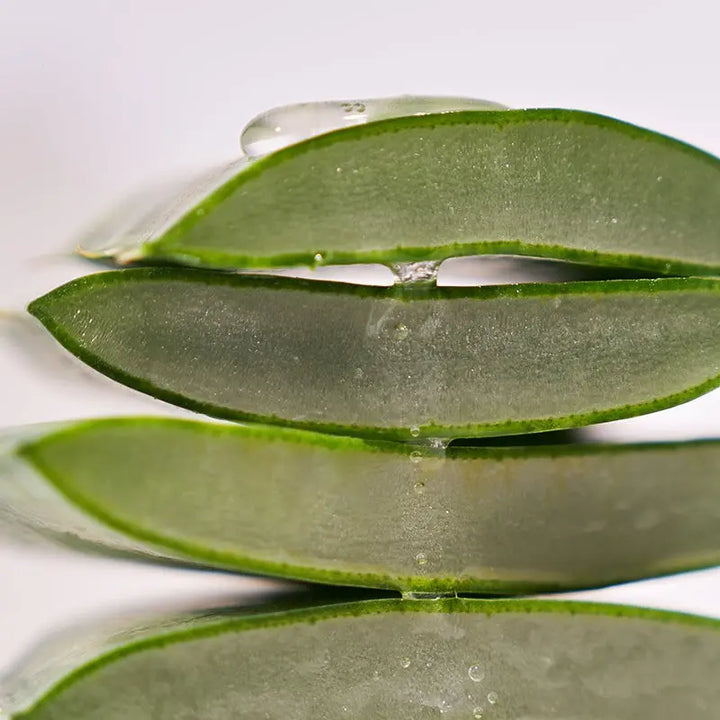 Haruharu WONDER - Black Rice Hyaluronic Essence - 50 ml Pharmacie Lariboisière Shop