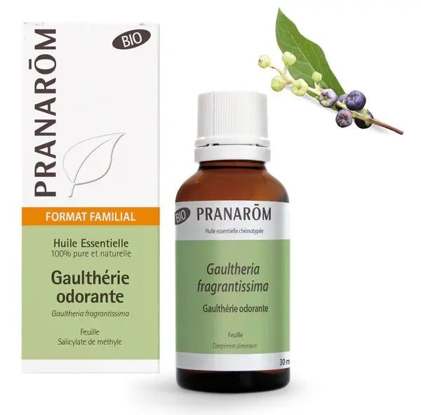 PRANARÔM Huile Essentielle Gaulthérie Odorante BIO Grand Format 30 ml Lariboisière Shop