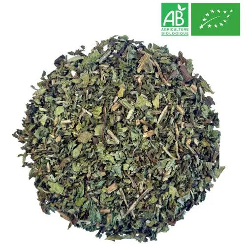 ADP Pissenlit – Plante en vrac 75G Lariboisière Shop