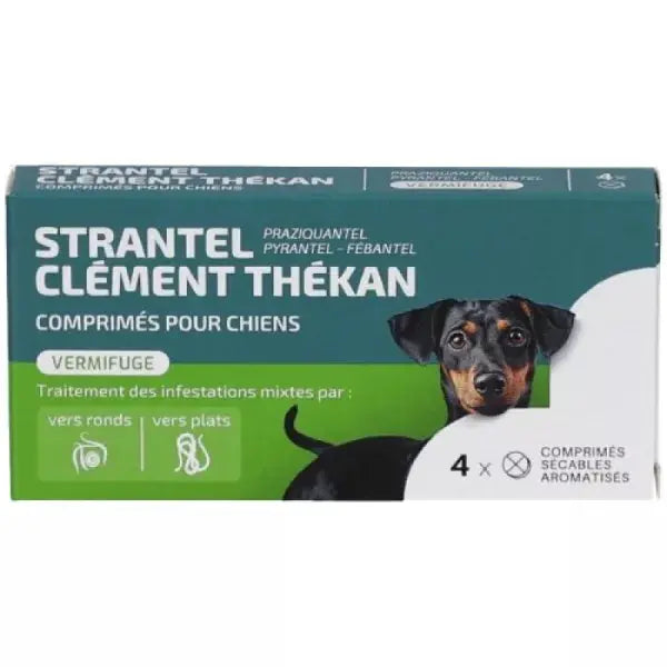 CLEMENT THEKAN - Strantel 4 comprimés - Vermifuge pour Chien Adulte à Partir de 10 kg - Goût Porc Lariboisière Shop