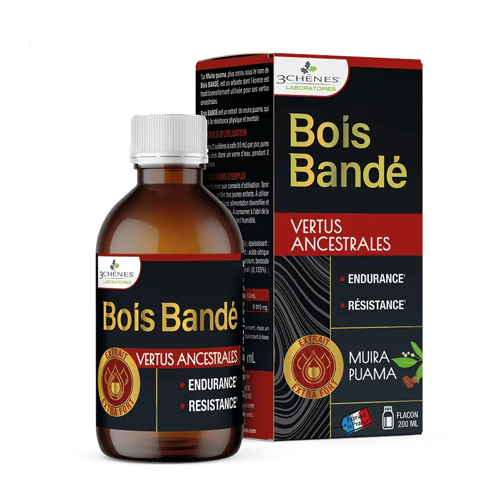 LTC - Bois Bandé Les 3 chênes
