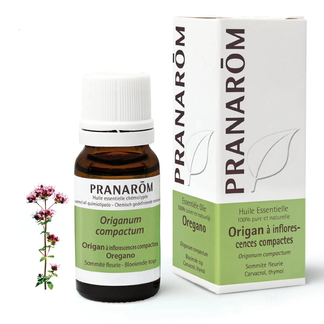 Pranarom Huile Essentielle Origan à inflorescences compactes 5ml Lariboisière Shop