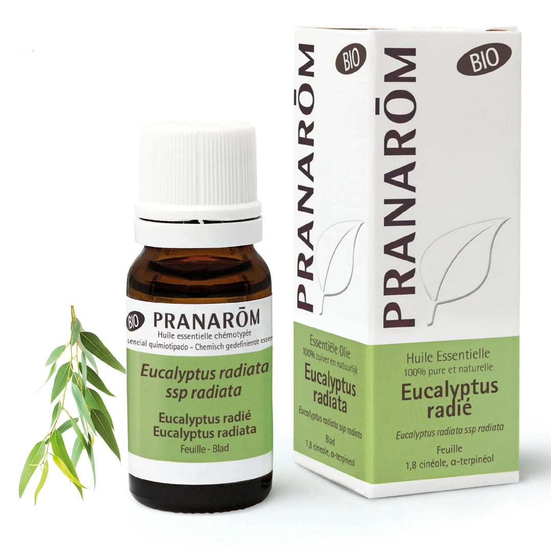 Pranarôm Huile Essentielle d’Eucalyptus Radié Bio 10 ml Lariboisière Shop